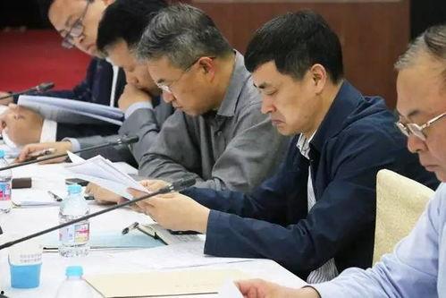 和谐集团爆料最新消息,最新动态揭秘，行业变革即将开启