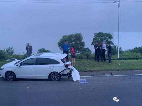 爆料新冠车祸视频最新版,新冠车祸视频揭示惊人真相